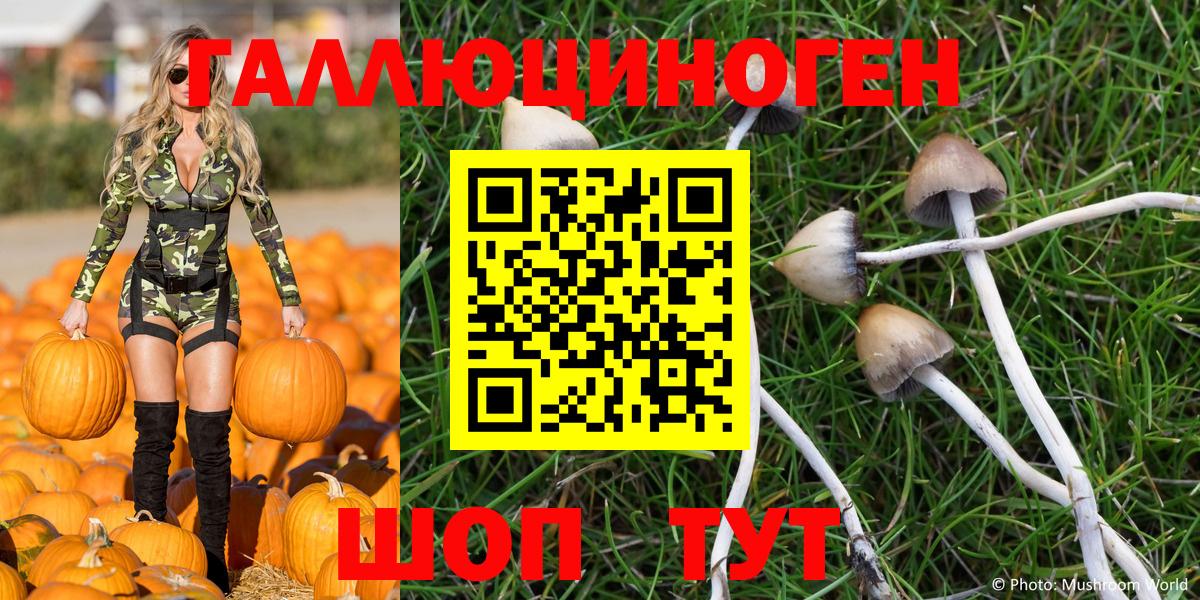 Златоуст  Псилоцибиновые грибы Magic Shrooms  Вход с VPN  Псилоцибиновые грибы MAGIC MUSHROOMS 