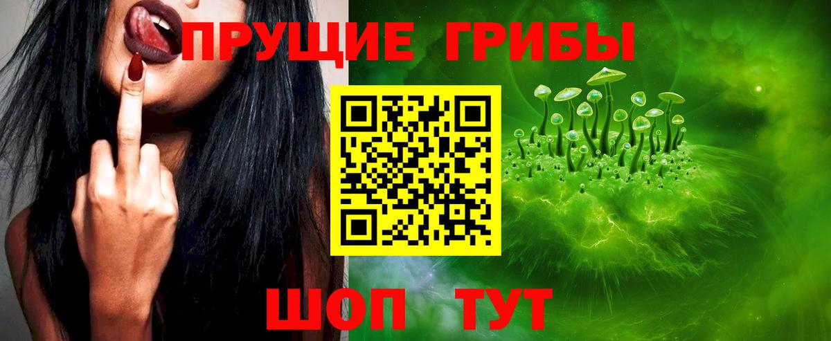 Галлюциногенные грибы Psilocybe Златоуст